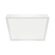 Emithor 49039 - Светодиодный потолочный светильник для ванной комнаты LENYS LED/12W/230V IP44