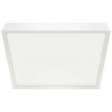 Emithor 49041 - Светодиодный потолочный светильник для ванной комнаты LENYS LED/24W/230V 240 mm IP44