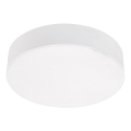 Emithor 63213 - LED потолочный светильник SURFACE LED/20W/230V