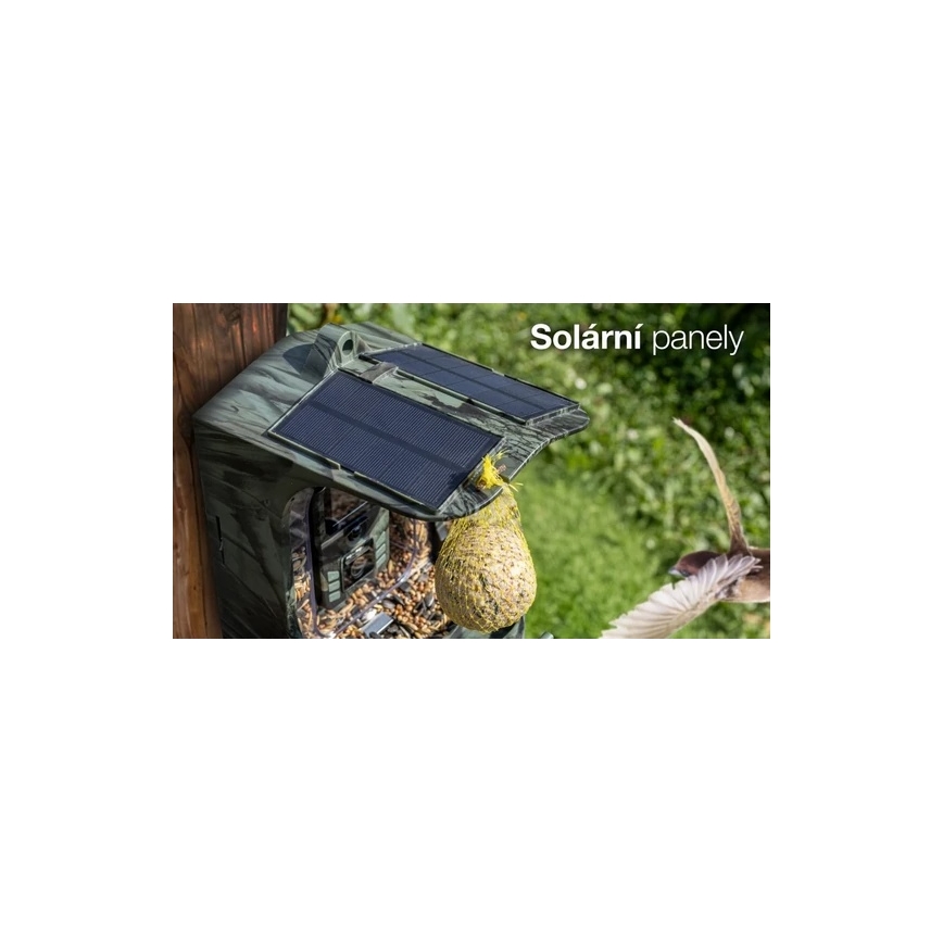 Evolveo - StrongVision BirdFeeder - розумна годівниця для птахів із камерою та сонячними панелями