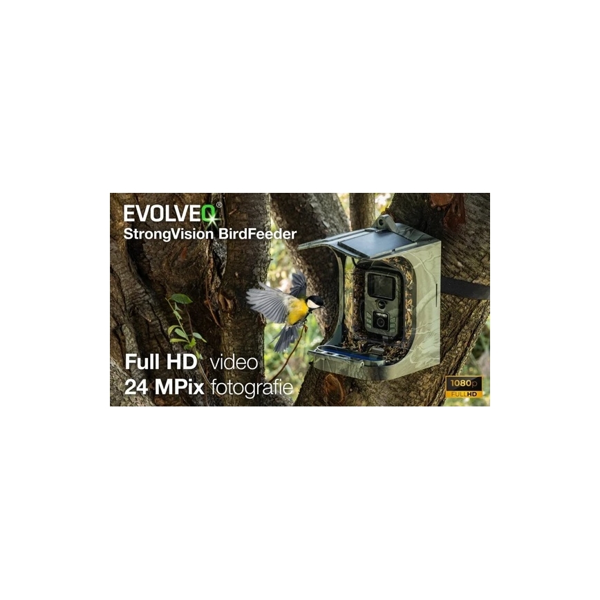Evolveo - StrongVision BirdFeeder - умная кормушка для птиц со встроенной камерой и солнечными панелями
