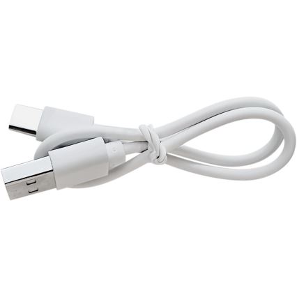 Extol - LED регульована перезаряджувана лупа з LED-підсвіткою/650 mAh біла/сіра
