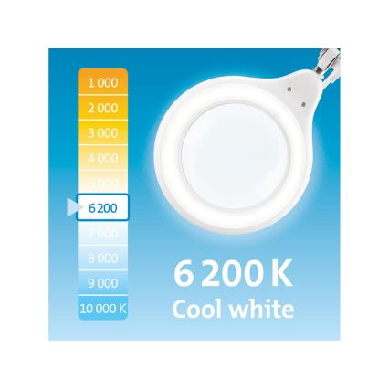 Extol - регульована настільна світлодіодна лампа з лупою LED/10W/230V біла