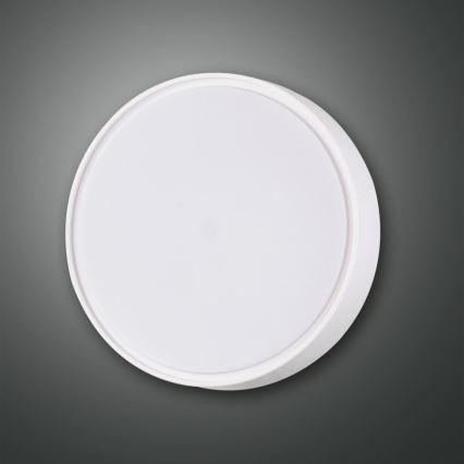 Fabas 3229/61/102 - Технический светильник HATTON 1xE27/42W/230V IP65