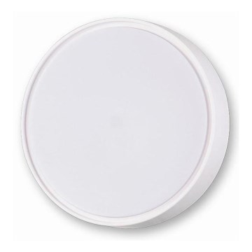 Fabas 3229/61/102 - Технический светильник HATTON 1xE27/42W/230V IP65