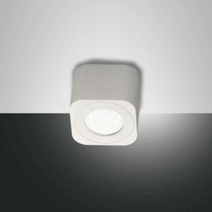 Fabas 3429-71-102 - Світлодіодний прожектор PALMI LED/6W/230V