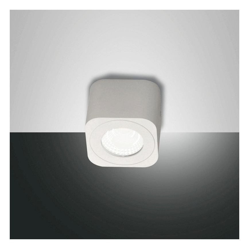 Fabas 3429-71-102 - Світлодіодний прожектор PALMI LED/6W/230V