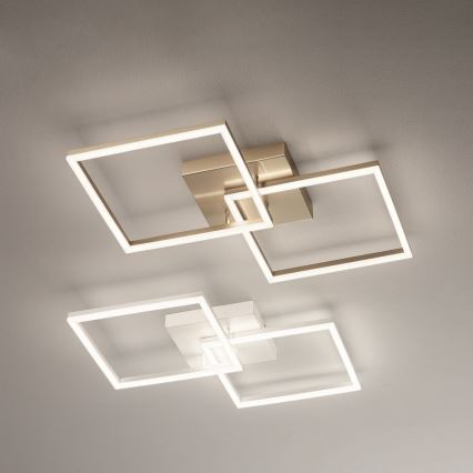 Fabas Luce 3394-65-225 - Світлодіодний стельовий світильник з регулюванням яскравості BARD LED/52W/230V 3000K золотий