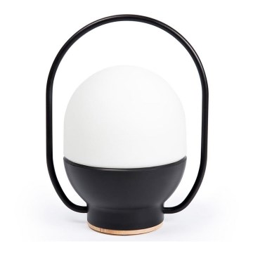 FARO 01016 - Светодиодная настольная лампа с регулированием яркости TAKE AWAY LED/1,5W/3,7V 2700K 2600 mAh черный