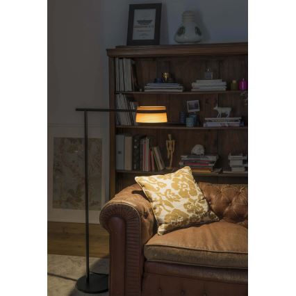 FARO 29569 - Светодиодный сенсорный торшер с регулированием яркости LOOP LED/6W/230V