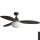 FARO 34301-11L - Стельовий вентилятор PALMA 1xE27/15W/230V коричневий діаметр 129 см IP44 + пульт дистанційного керування
