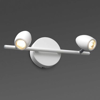 FARO 41121 - Світлодіодний прожектор ANTILA 2xLED/12W/230V