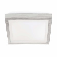 FARO 62983 - Потолочный светильник для ванной комнаты TOLA 1 1xE27/20W/230V IP44