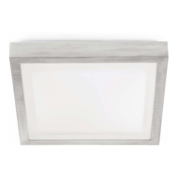 FARO 62983 - Стельовий світильник для ванної кімнати TOLA 1 1xE27/20W/230V IP44