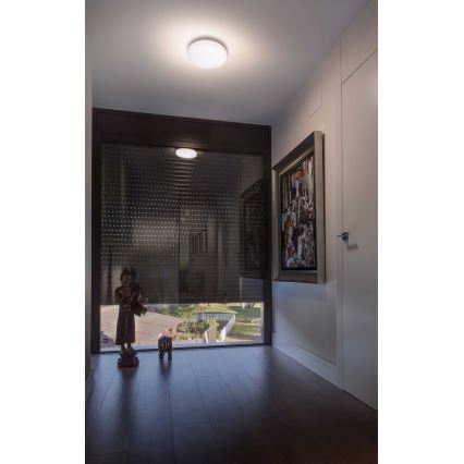 FARO 63291 - Светодиодный уличный диммируемый потолочный светильник ZON LED/18W/230V IP54