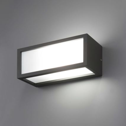 FARO 70573 - Зовнішній настінний світильник TEJO 1xE27/20W/230V IP54
