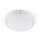 FARO 70722 - Уличный потолочный светильник DAKRON 1xE27/40W/230V IP65