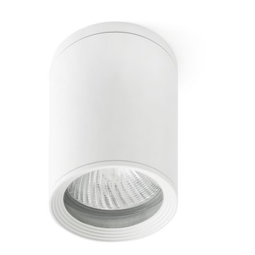 FARO 70821 - Зовнішній точковий світильник TASA 1xE27/75W/230V IP44