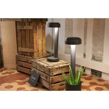 FARO 71206 - Світлодіодний вуличний світильник GROW 1xLED/9W/230V IP65