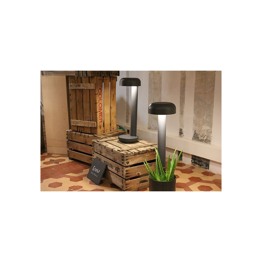 FARO 71206 - Світлодіодний вуличний світильник GROW 1xLED/9W/230V IP65