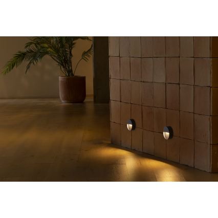 FARO 71960 - LED сходовий світильник DUNE LED/3W/230V 2200/2700/3200/4000K IP65 антрацитовий круглий