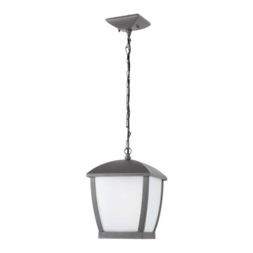 FARO 75002 - Зовнішня підвісна люстра WILMA 1xE27/100W/230V IP44