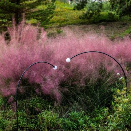 FARO 75561 - Вулична світлодіодна лампа CUCA LED/3W/24V 65 см IP65 антрацит