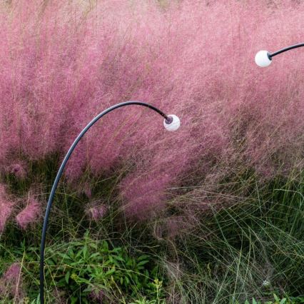 FARO 75562 - Вулична світлодіодна лампа CUCA LED/3W/24V 119,3 см IP65 антрацит