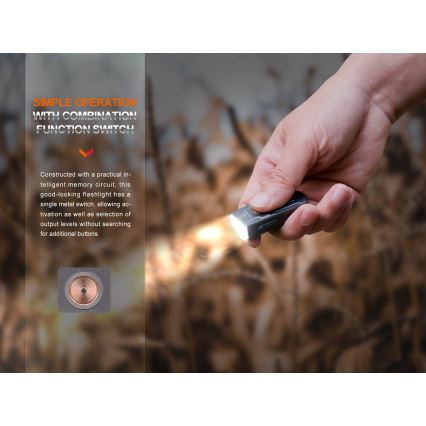 Fenix E03RV20GREY - Светодиодный аккумуляторный фонарь LED/USB IP66 500 лм 30 ч 400 mAh