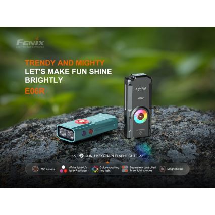 Fenix E06RGRY - LED Акумуляторний ліхтарик з регулюванням яскравості UV LED/USB IP66 700 лм 60 год. 750 mAh сірий