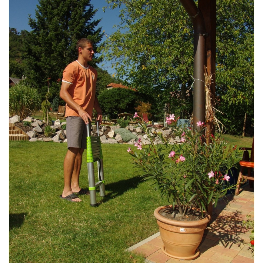 Fieldmann - Телескопическая лестница 3,8 м