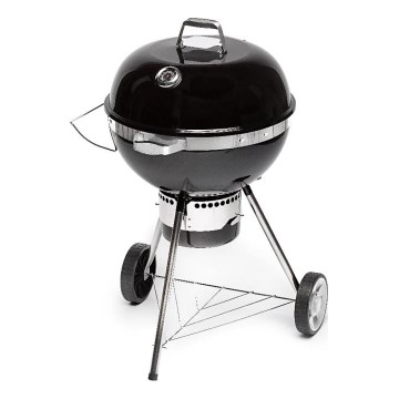 Fieldmann - Угольный гриль черный/хром