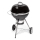 Fieldmann - Угольный гриль черный/хром