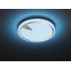 Fischer & Honsel 20754 - LED RGBW Світильник з регулюванням яскравості T-ERIC LED/33W/230V + ДК