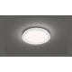 Fischer & Honsel 20807 - Светодиодный потолочный светильник с регулированием яркости DUA LED/22W/230V