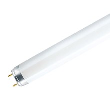Флуоресцентна лампа G13/18W/230V 6500K