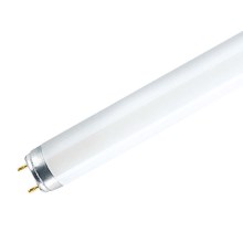 Флуоресцентна лампа G13/58W/230V 6500K