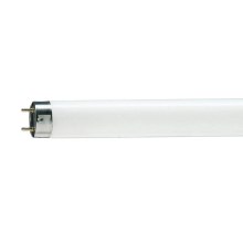Флуоресцентна лампа T8 G13/15W/55V 4000K