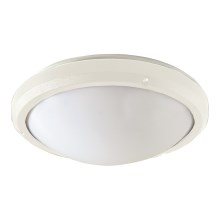 Fulgur 03419 - Потолочный светильник для ванной комнаты MELISSA 1xE27/100W/230V IP65