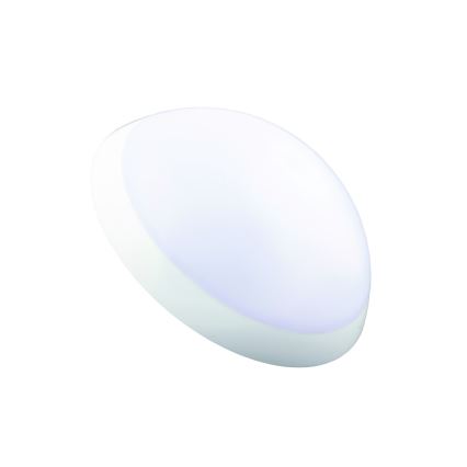 Fulgur 20994 - Потолочный светильник для ванной комнаты ROMANA 1xE27/100W/230V IP64