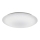 Fulgur 24114 - Стельовий LED світильник ANETA STAR LED/16W/230V 4000K