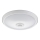 Fulgur 24120 - Світлодіодний стельовий світильник з датчиком DARINA LED/12W/230V