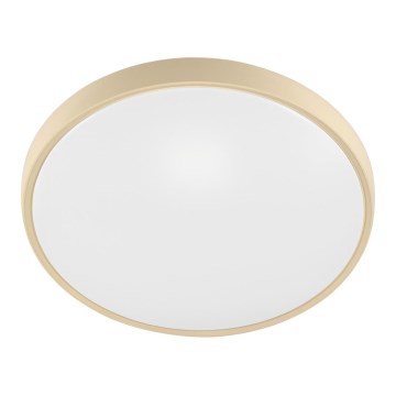 Fulgur 27480 - Рамка з дифузором для стельового світильника VERA 420 GOLD