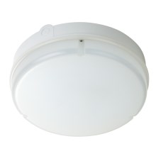 Fulgur 28842 - Уличный светодиодный потолочный светильник JANA LED/18W/230V IP65