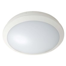 Fulgur 28844 - Уличный светодиодный потолочный светильник ZUZA LED/18W/230V IP66