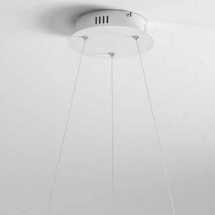Gea Luce DIVA S G TITANIO - Світлодіодна підвісна люстра з регулюванням яскравості DIVA LED/44W/230V сірий