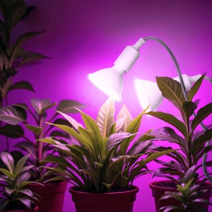 Гибкая настольная лампа с зажимом для выращивания растений PLANTY 2xE27/30W/230V белый