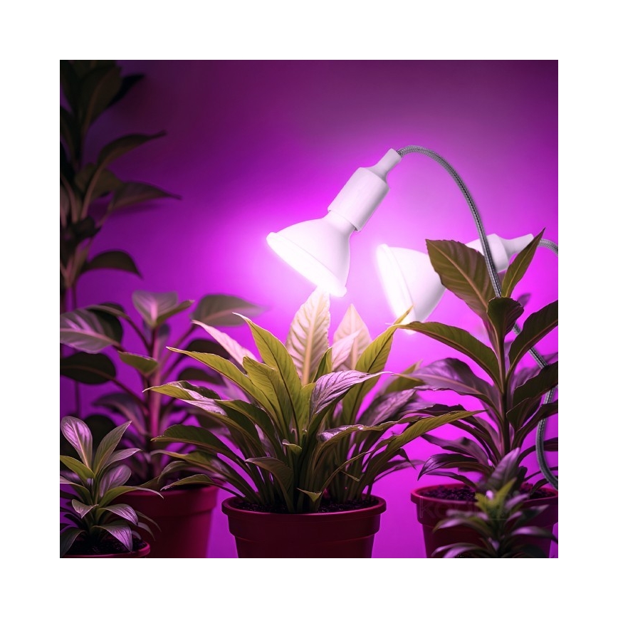 Гибкая настольная лампа с зажимом для выращивания растений PLANTY 2xE27/30W/230V белый