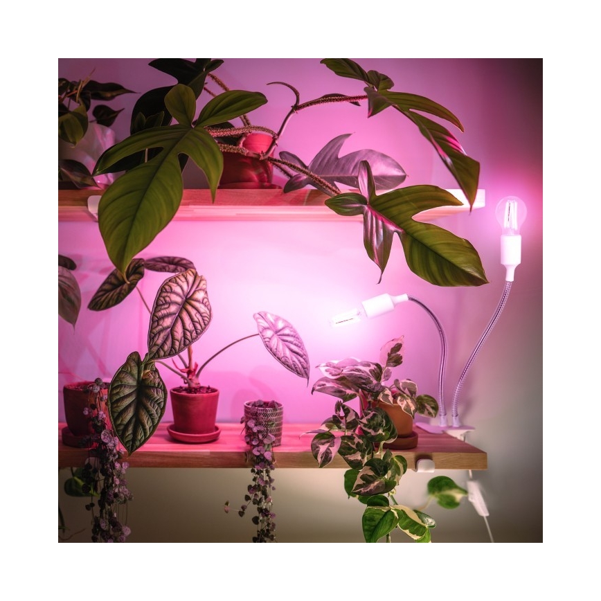 Гибкая настольная лампа с зажимом для выращивания растений PLANTY 2xE27/30W/230V белый
