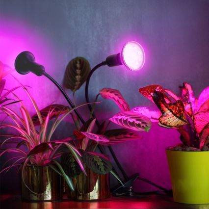 Гибкая настольная лампа с зажимом для выращивания растений PLANTY 2xE27/30W/230V черный